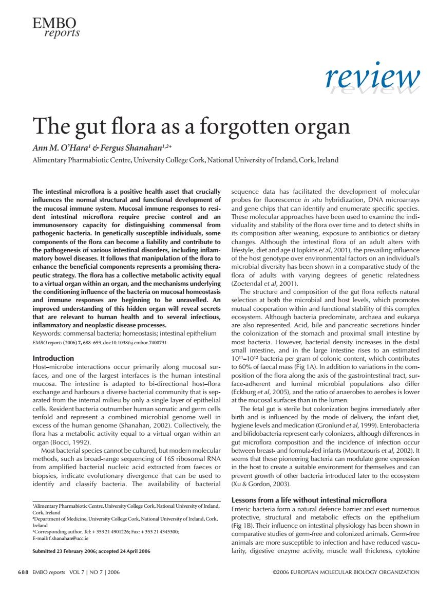 The gut flora as a forgotten organ